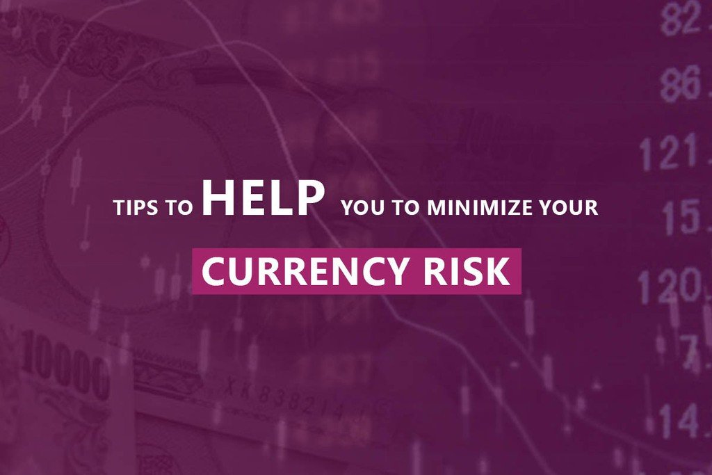 Tips To Help You To Minimize Your Currency Risk
