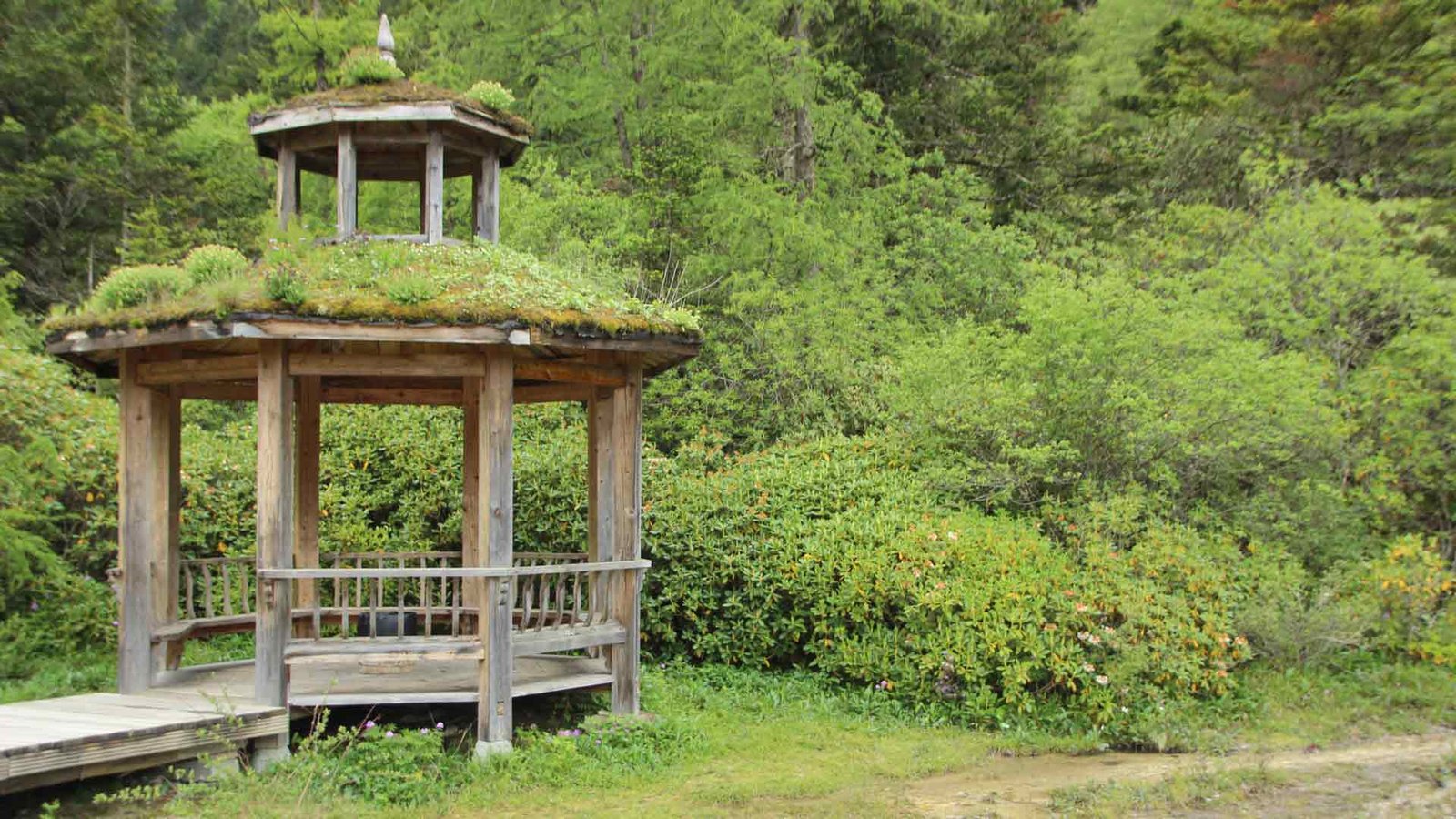 Choose Smoking Shelter for Garden to Create a Safer Environment