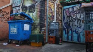 Dumpster-Mysteries-Unraveling-the-Hidden-Stories-Behind-Discarded-Items-on-pinnacleweekly