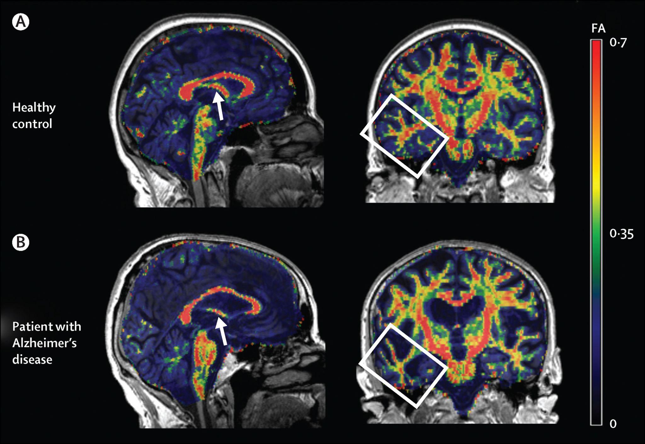 Best PACS for Small Groups With an Imaging Center and Outside Studies